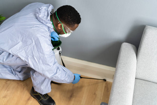 Best Bed Bug Extermination  in Socorro, NM